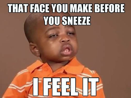 sneez.jpg