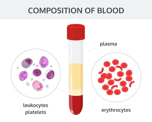 blood-analysis-test-tubes-blood-cells-erythrocytes-leukocytes-platelets_659801-340.jpg