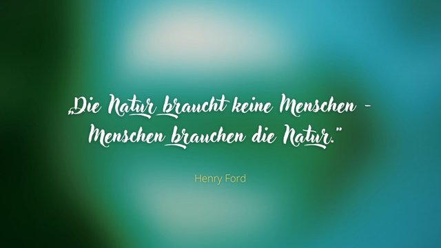 „Die Natur braucht keine Menschen - Menschen brauchen die Natur.“ - Henry Ford.jpg