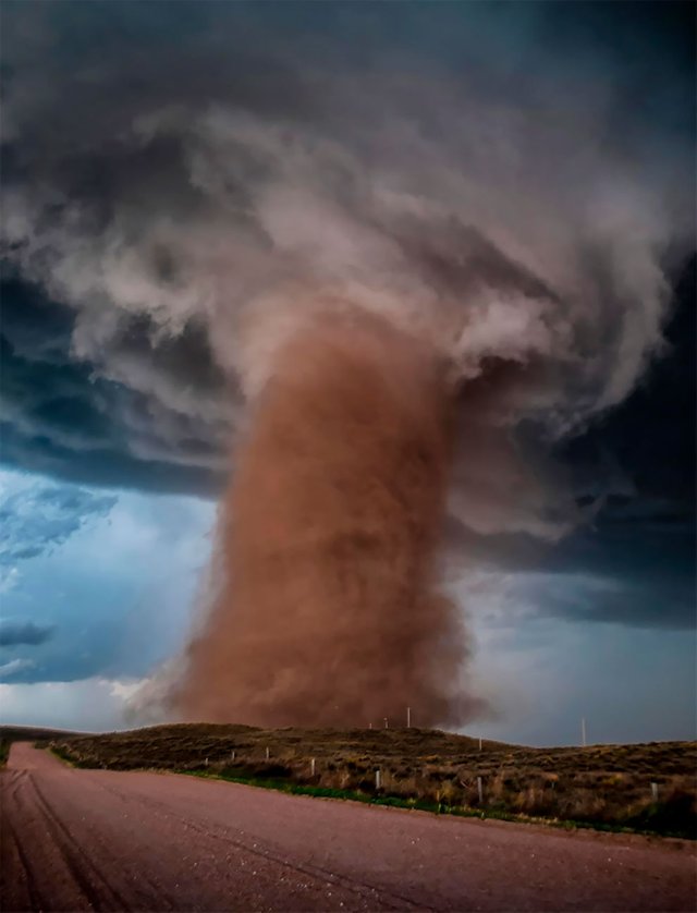 weatheraward-fubiz-9.jpg