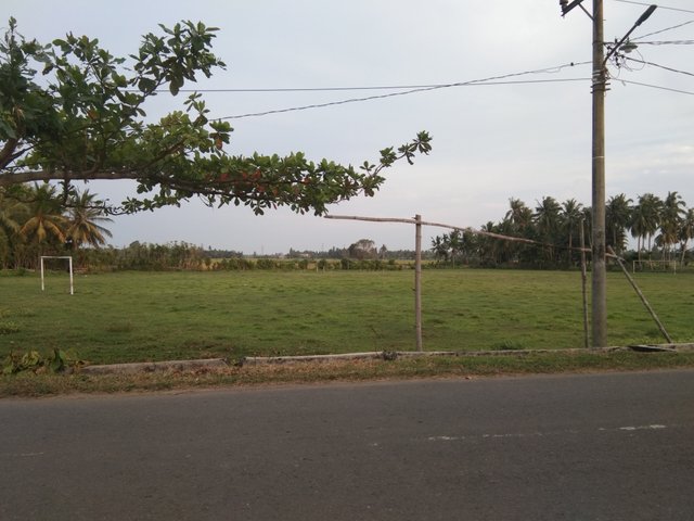 IMG_20250318_181618.jpg