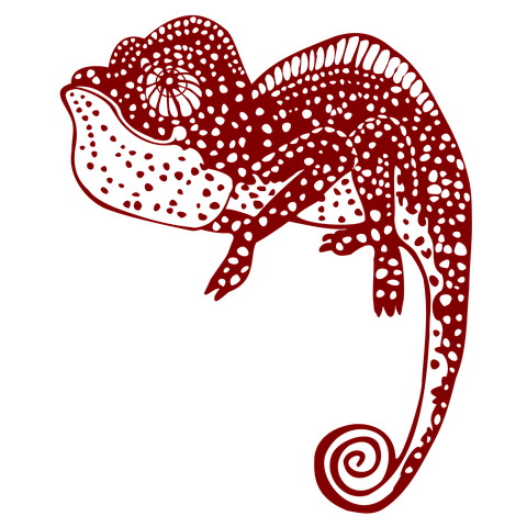 chameleon-2204980__480 (1).png