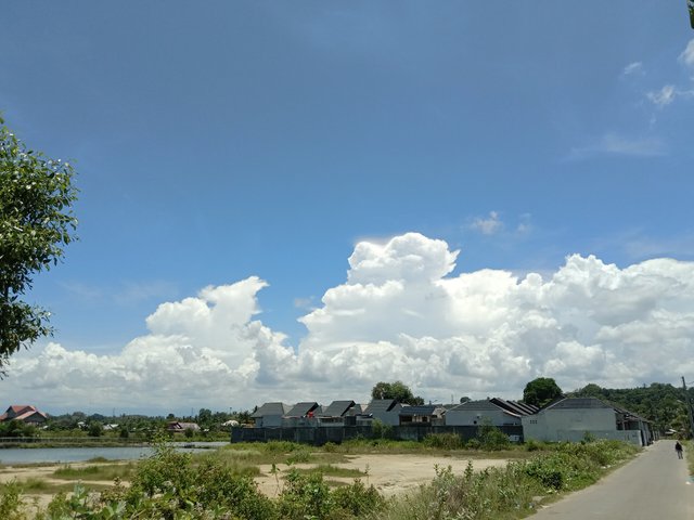 IMG_20250403_125557.jpg