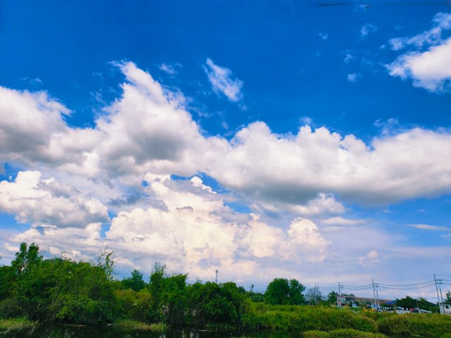 IMG_20250515_103228.jpg