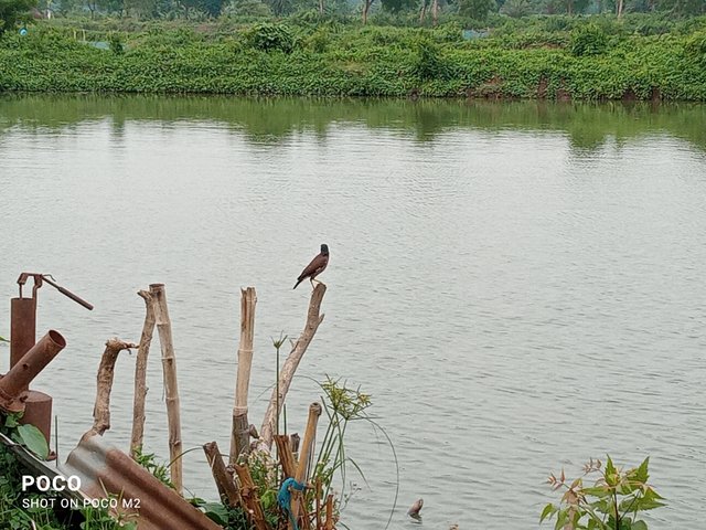 IMG_20250604_175016.jpg