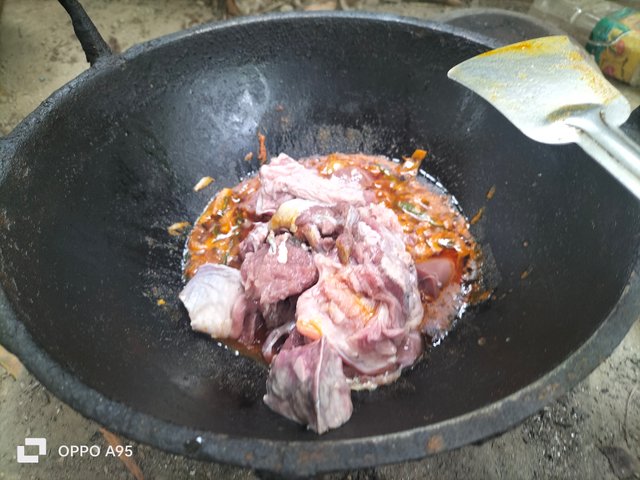 IMG20250501111904.jpg