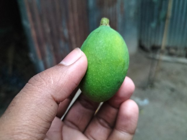 IMG20250418054102.jpg