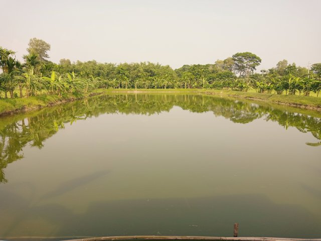 IMG_20250610_160143_544.jpg