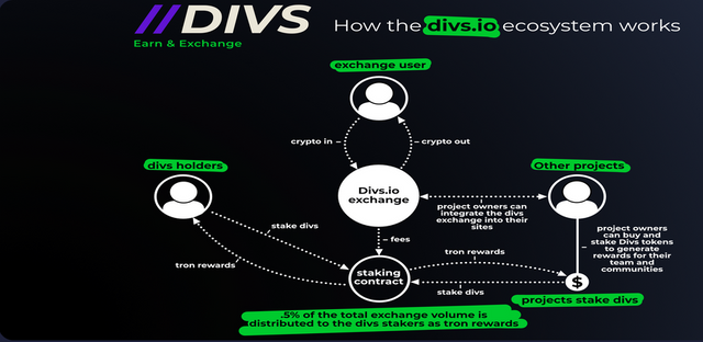 divs ecosystem.png