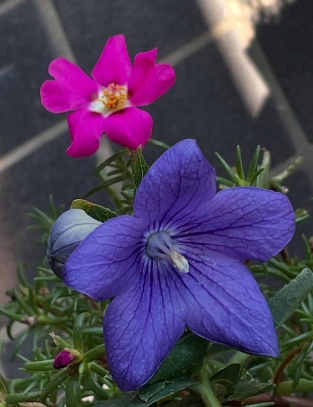 IMG_20250802_175508.jpg