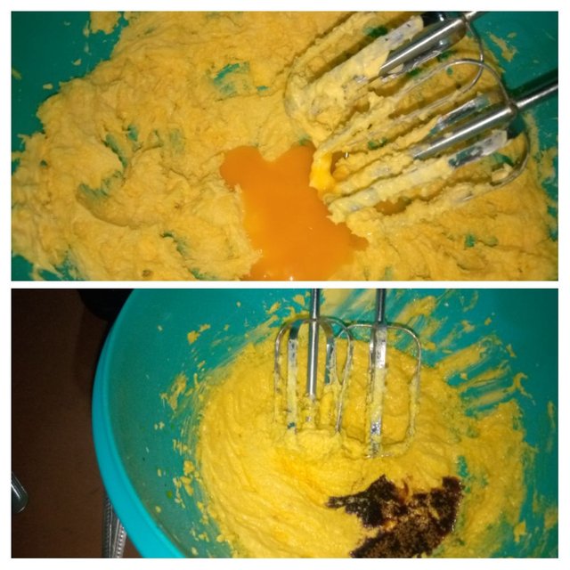 IMG_20250913_171642-COLLAGE.jpg