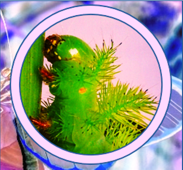Screenshot - 13_6_20
