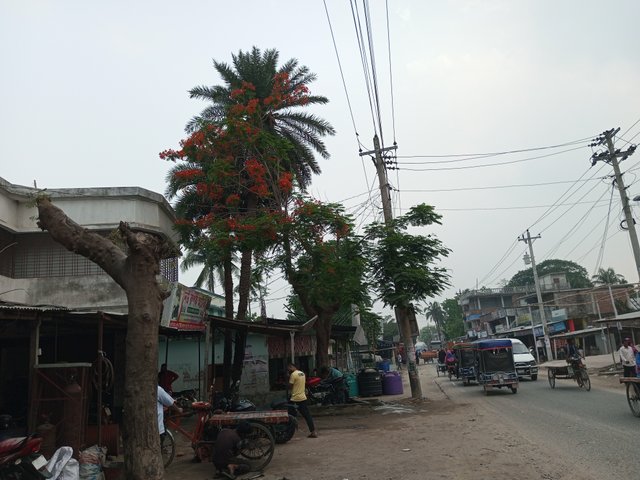 IMG_20250422_164718_256.jpg