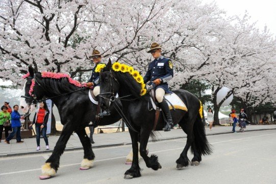 Seoul-Grand-Park-Events.jpg