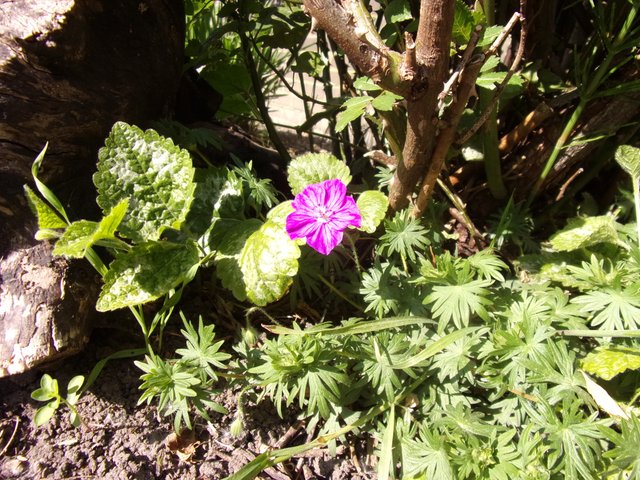 100_2620.JPG
