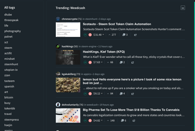 Screen Shot 2019-07-24 at 8.25.52 AM.png