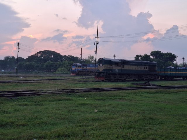 1000048136.jpg