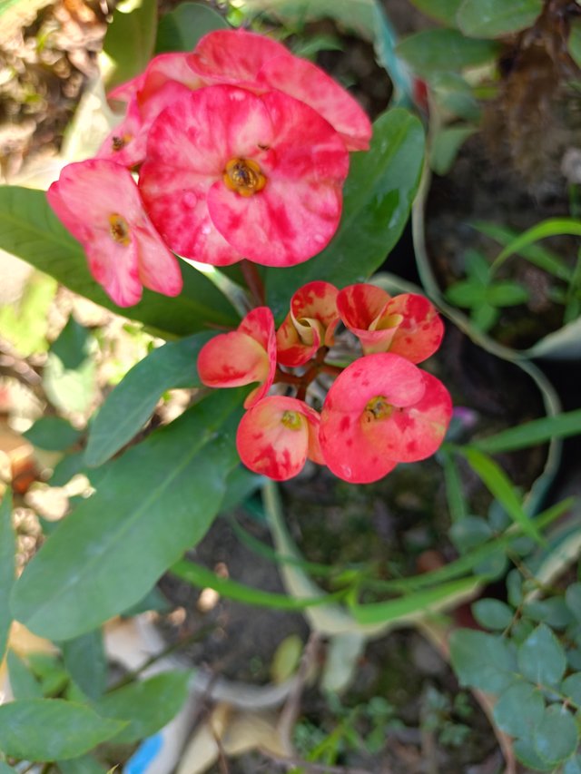 IMG20241120111518.jpg