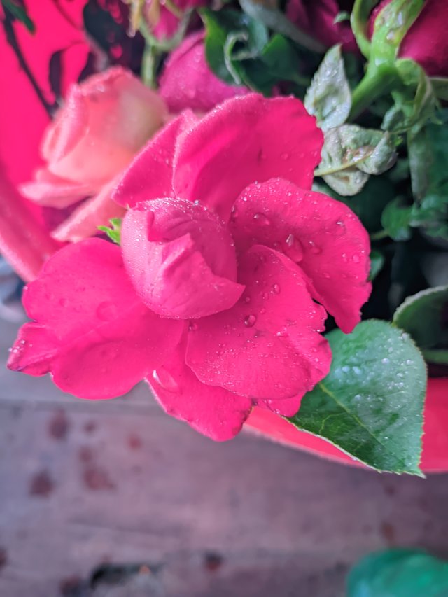 RIYAN_20230603_123339_👫Vivid Color .jpg