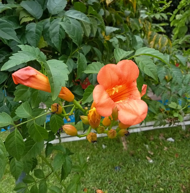 IMG_20250909_173738.jpg