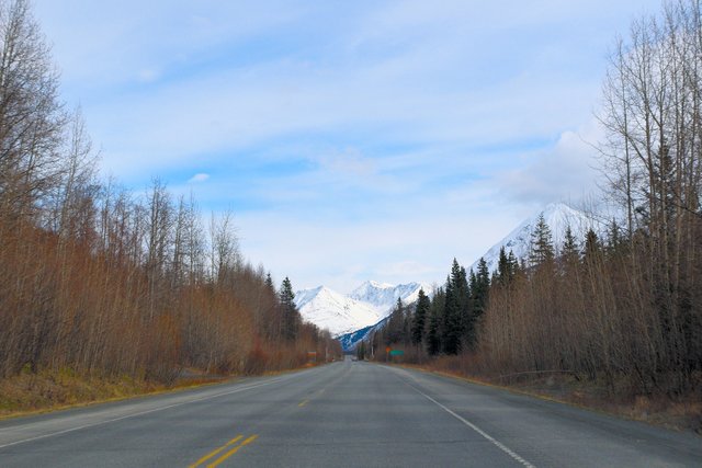 DSC_6397 seward highway south view 12 x 8.jpg