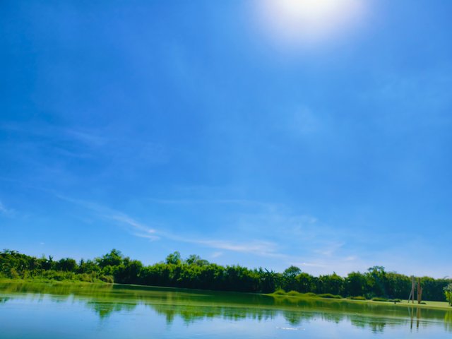 IMG_20250523_120619.jpg