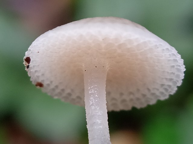 IMG_20211221_084525.jpg