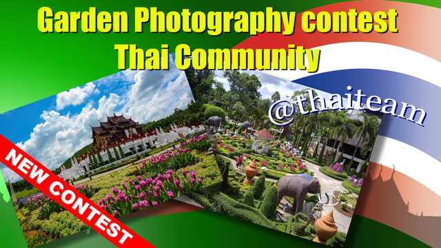 garden Photography contest.png