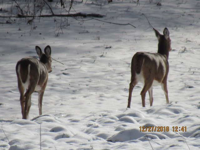 IMG_0170.JPG