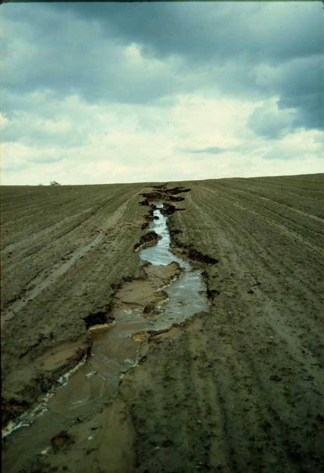 Eroding_rill_in_field_in_eastern_Germany.jpg