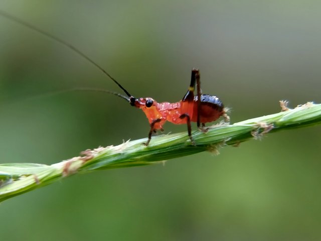 IMG20210420170322.jpg