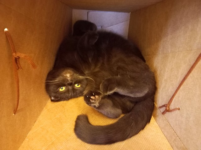 20220921_174057.jpg