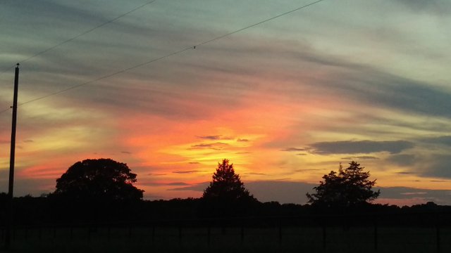 Texas_sky_sunset_cameraphone_2.jpg
