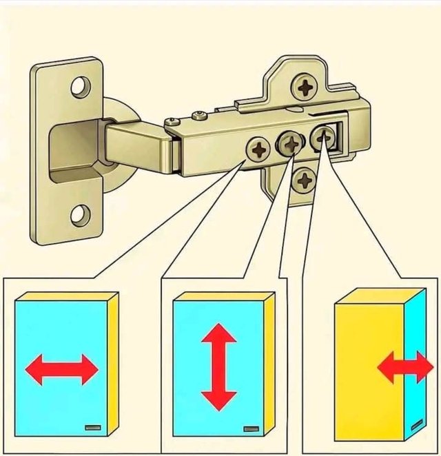 1000037420.jpg