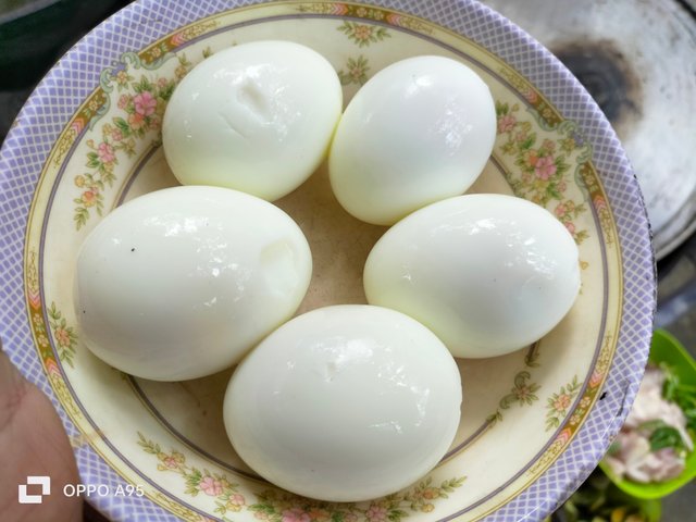IMG20250425134818.jpg