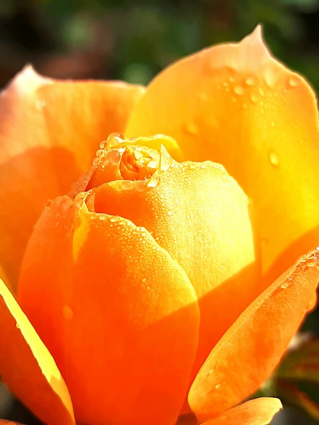 20210125_092009.jpg