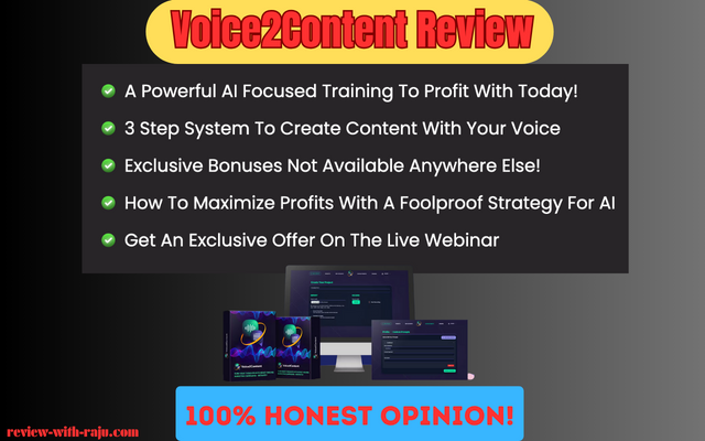 Voice2Content Review.png