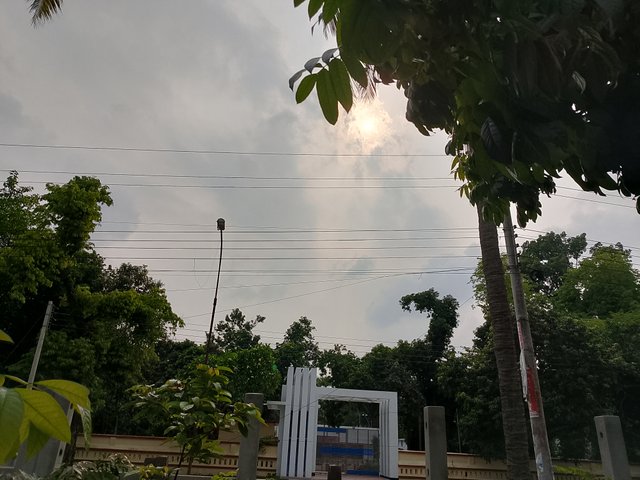 1000038280.jpg