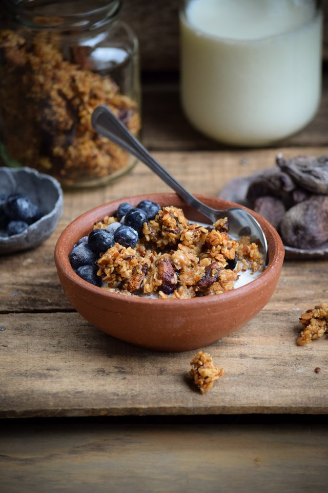 Dried Fig, Millet, and Flaxseed Granola (8).jpg