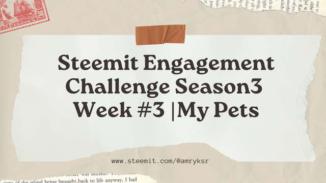 Steemit Engagement Challenge Season3 Week #3  My Pets.png