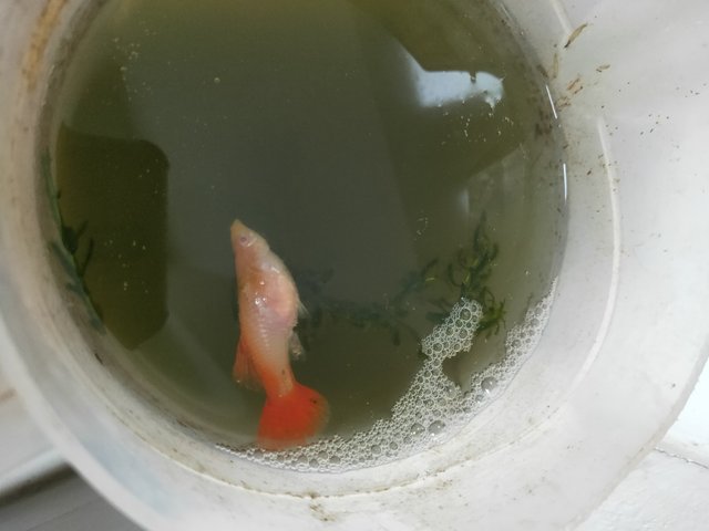IMG20251011213313.jp