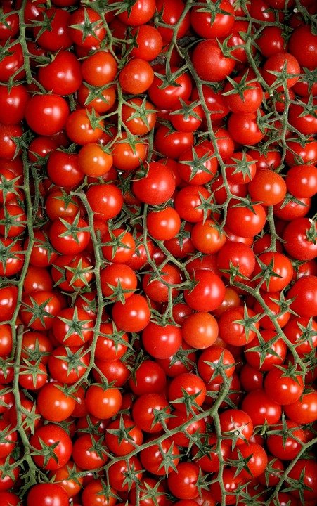 tomatoes60_720.jpg