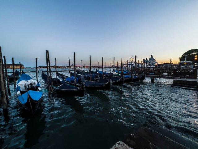 IMG_4690.jpg