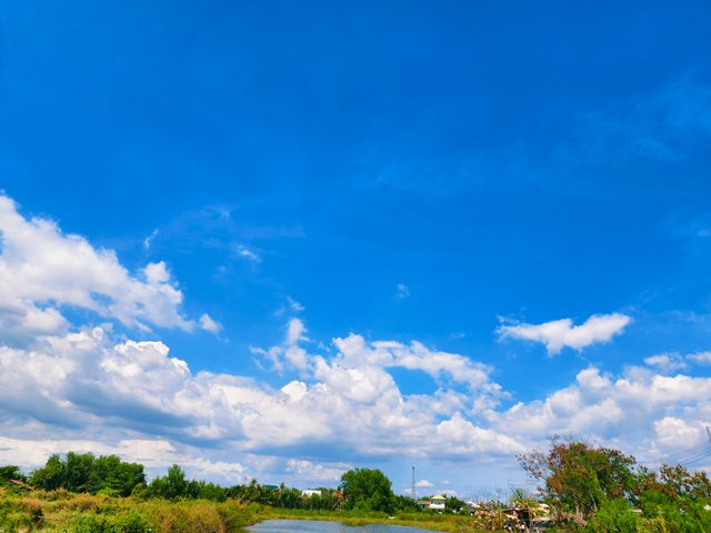 IMG_20250520_081127.jpg