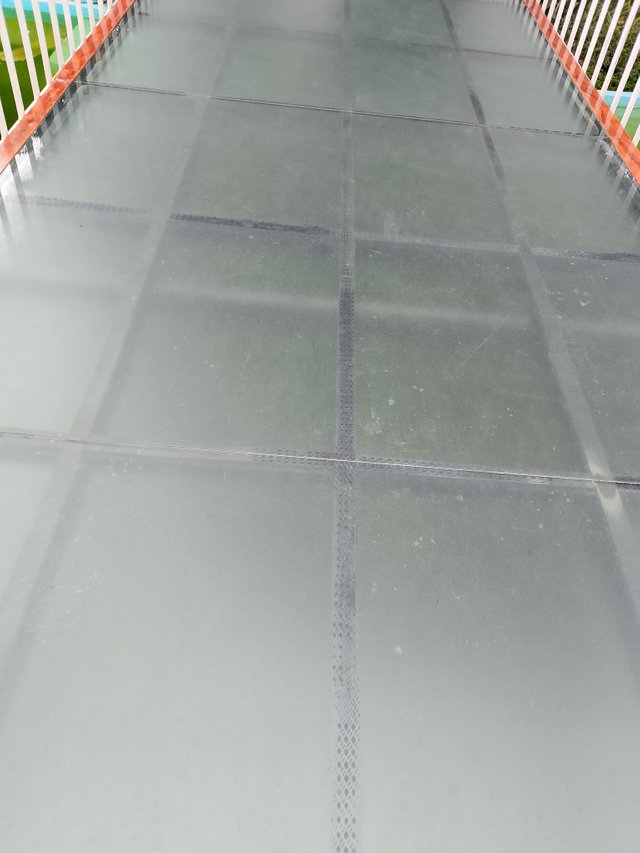 1000035753.jpg
