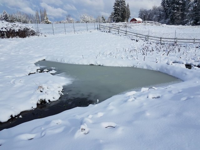 frozen-pond.jpg
