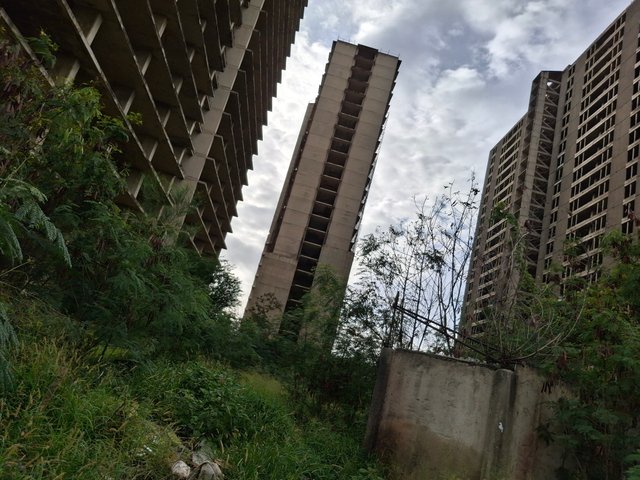 1000361095.jpg