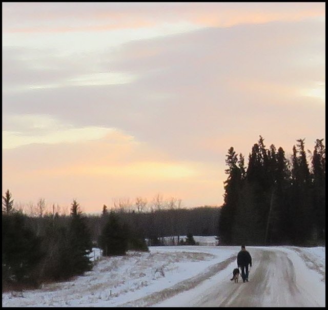 Don walking Bruno to curve in road light yellow orange pinkish sunset.JPG