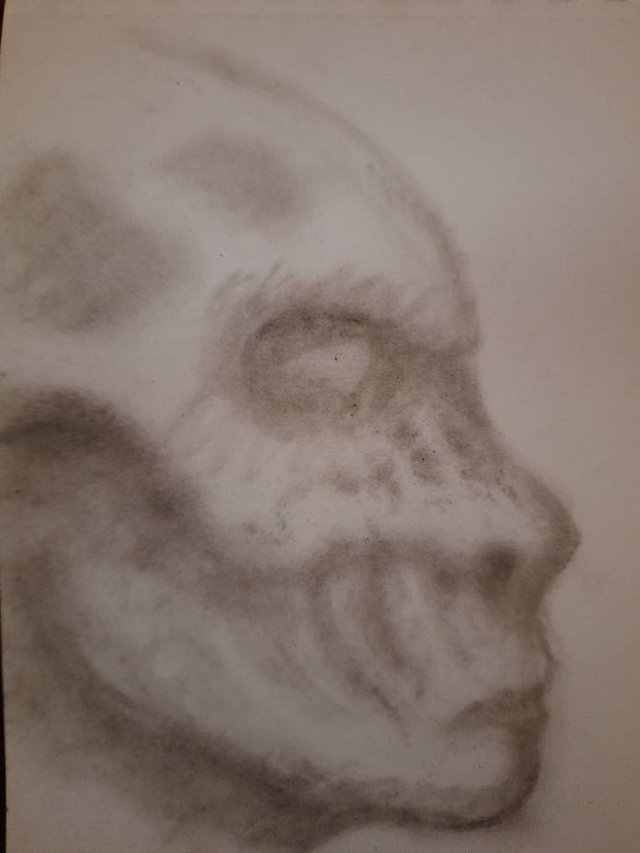 20250923_111251.jpg