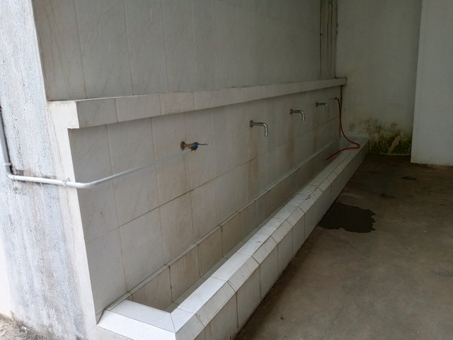 1000004544.jpg